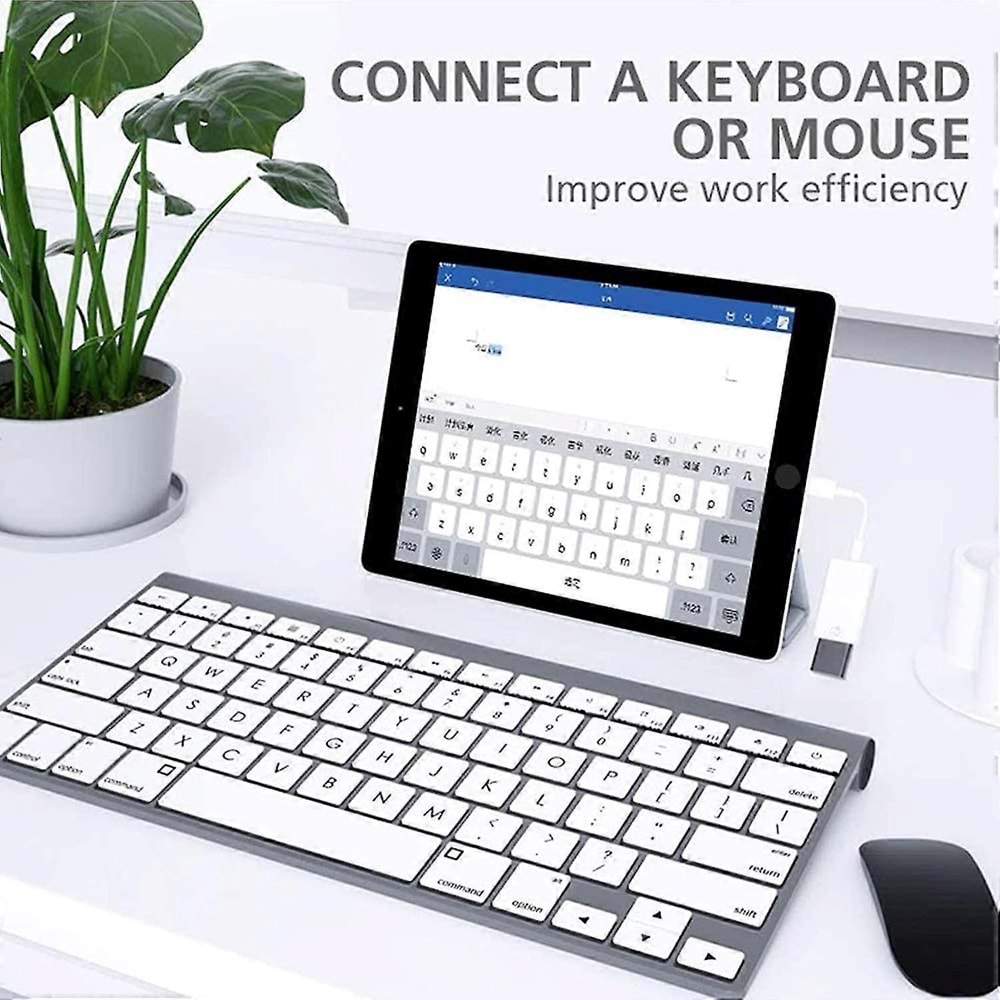 PDAteknoloji Lightning ile Uyumlu USB Adaptör (Flash Bellek-Mouse-Klavye Bağlamak İçin) Beyaz JH-0514