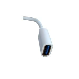 PDAteknoloji TYPE-C to USB adapter MICRO to USB Adapter Altın Uçlu OTG-C3